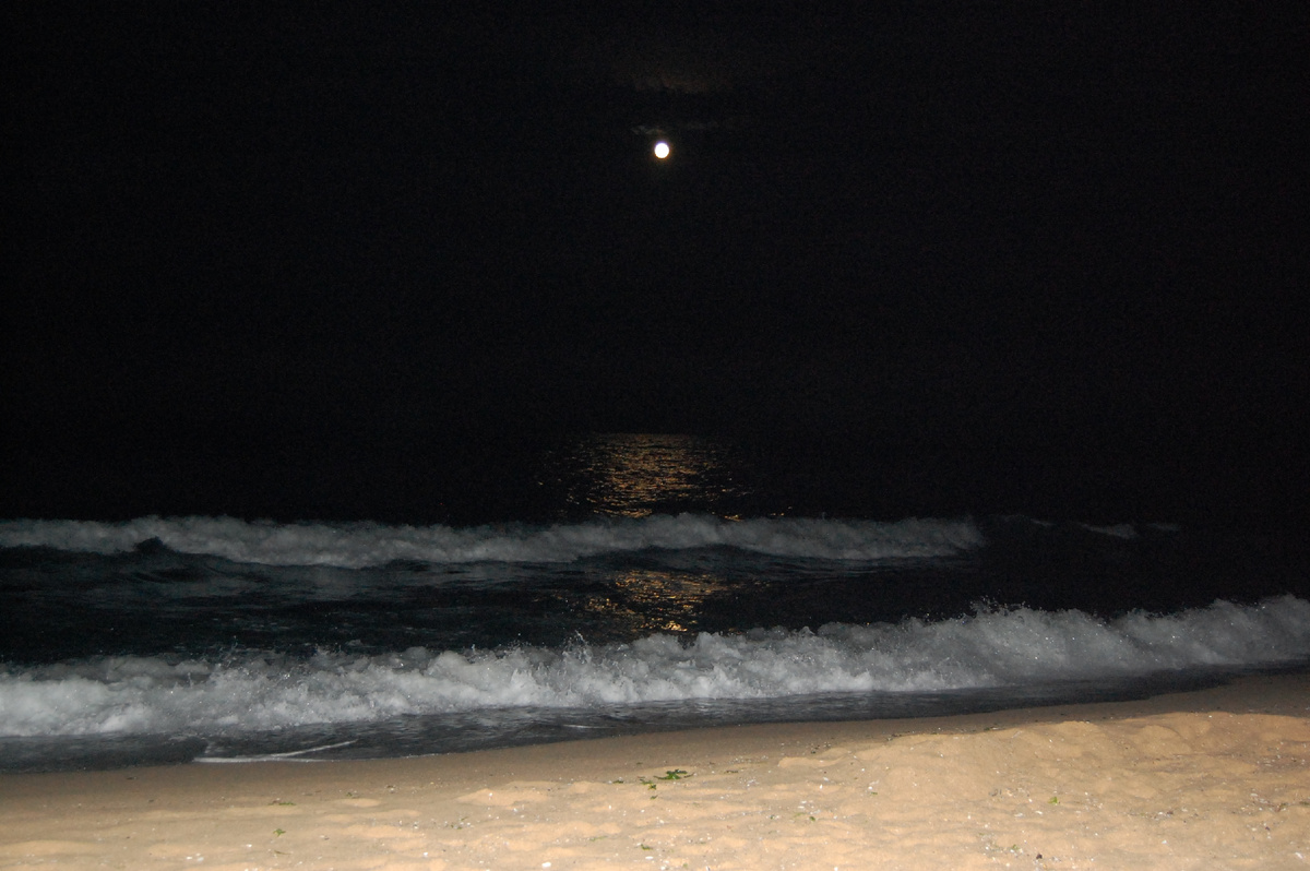 Ночное море