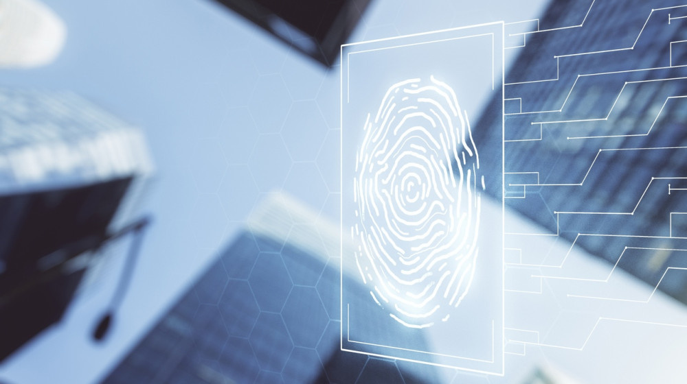    Незнакомая дорога домой