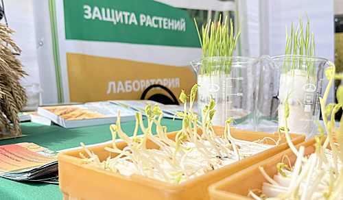    /  ФОТО Пресс-центра ФГБУ Россельхозцентр по Ростовской области Администратор