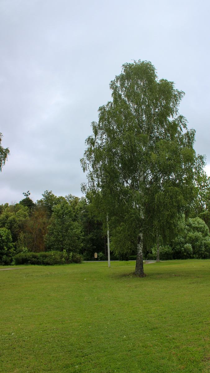 Усадьба Храповицкого в Муромцево