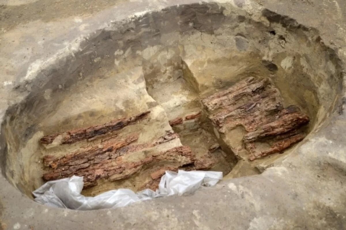    Погребение ребенка раннего железного века нашли под Новосибирском