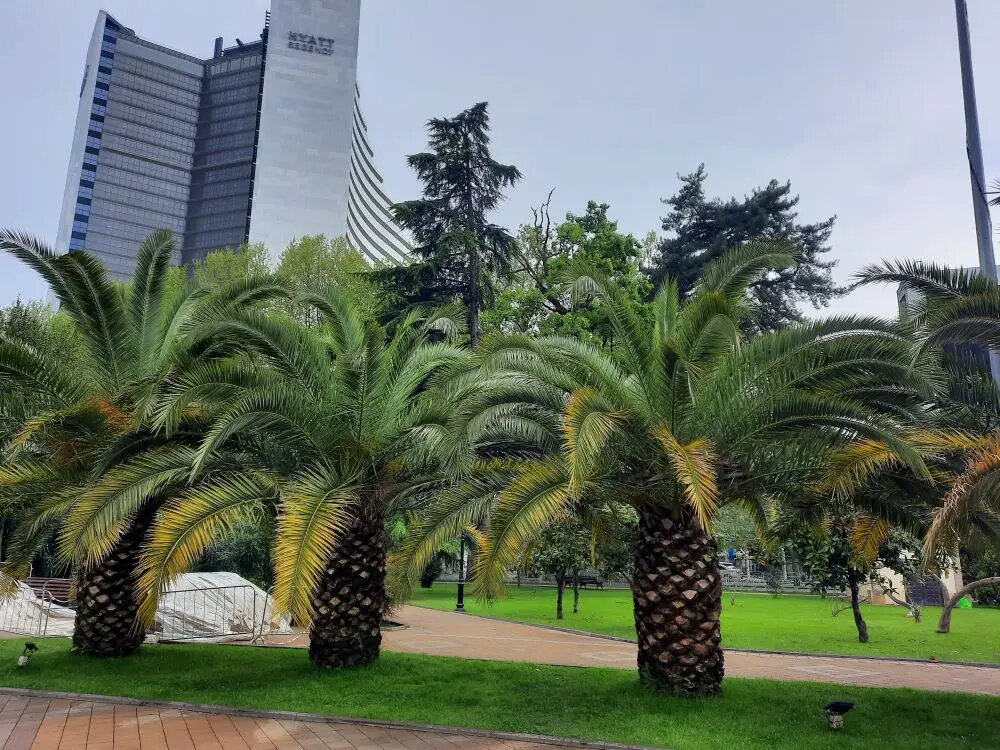     © "Интерфакс". Елена Плеханова