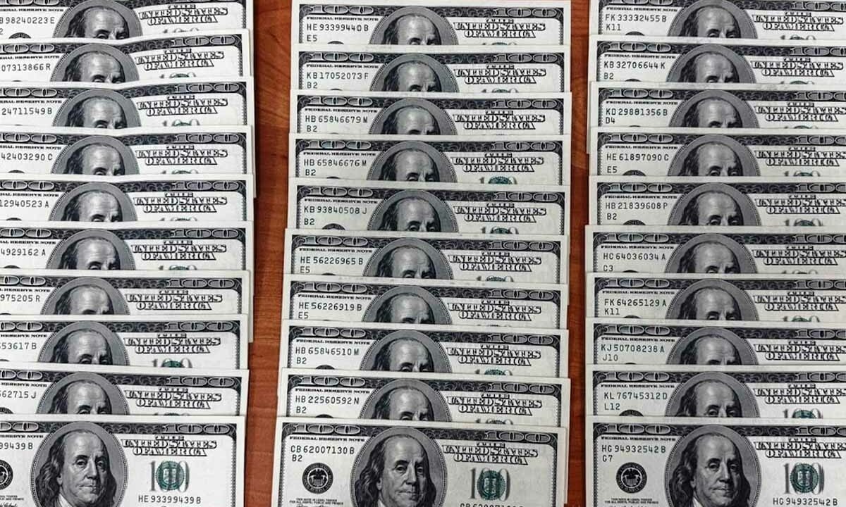    Фото пресс-службы Краснодарской таможни по Сочи