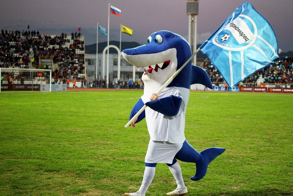    ФК "Черноморец" и его талисман дельфин в минувшем сезоне едва не "доплыли" до Российской премьер-лиги. / Виталий Тимкив/РИА Новости