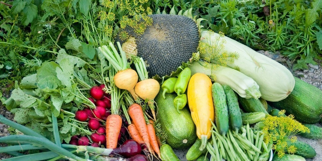 Монолийфосфат как универсальное удобрение для всех овощей: причины популярности и преимущества