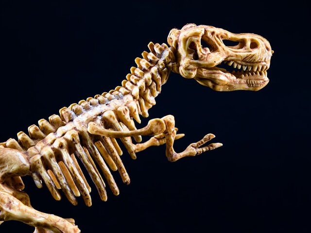    Фото: 123RF/giorgiorossi73