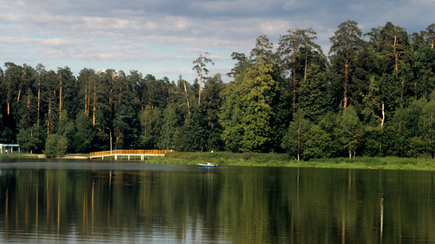    Фото: © РИА Новости/Юрий Кавер