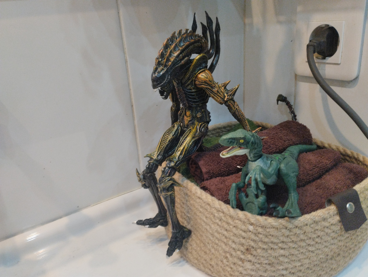 Лучшие друзья обсуждают планы на завтрашний день 