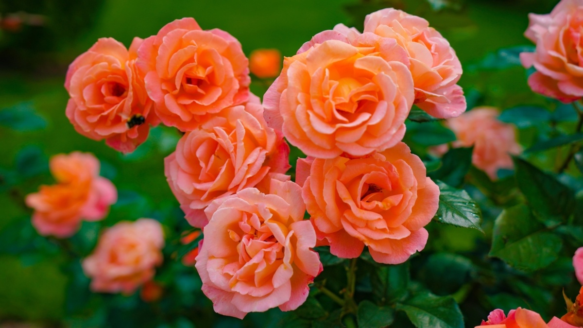 Светлана Мулыкина📷
