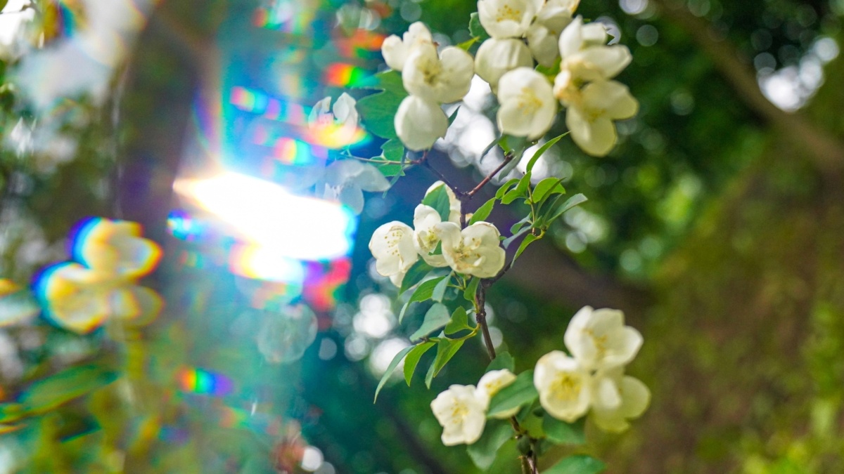 Светлана Мулыкина📷
