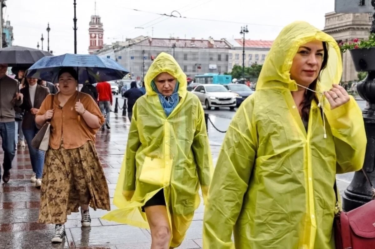    Дождь и гроза будет 3 июля в Чите