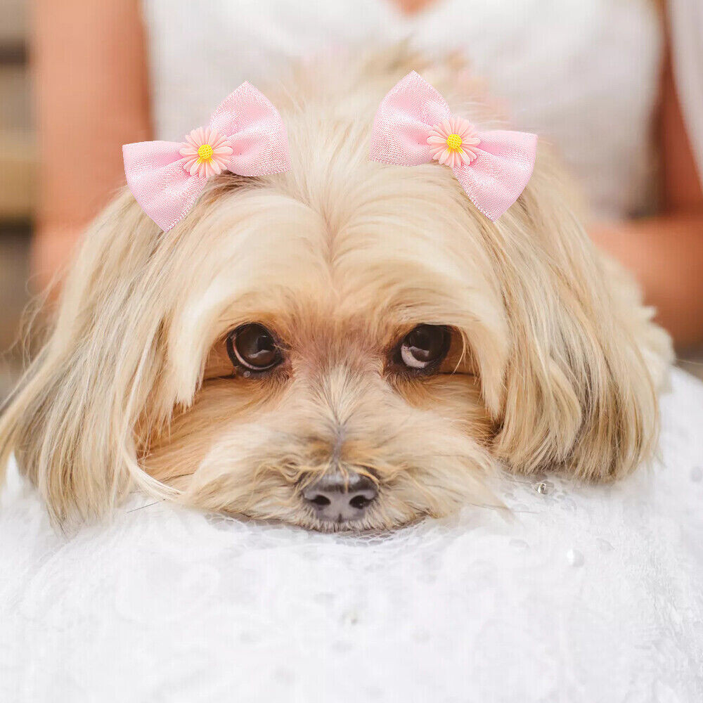 источник фото: https://i.ebayimg.com/images/g/KVEAAOSwUdRfhR~p/s-l1600.jpg