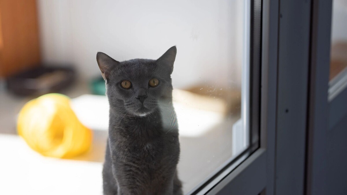    Фото: Юлия Чудинова / «Ямал-Медиа»