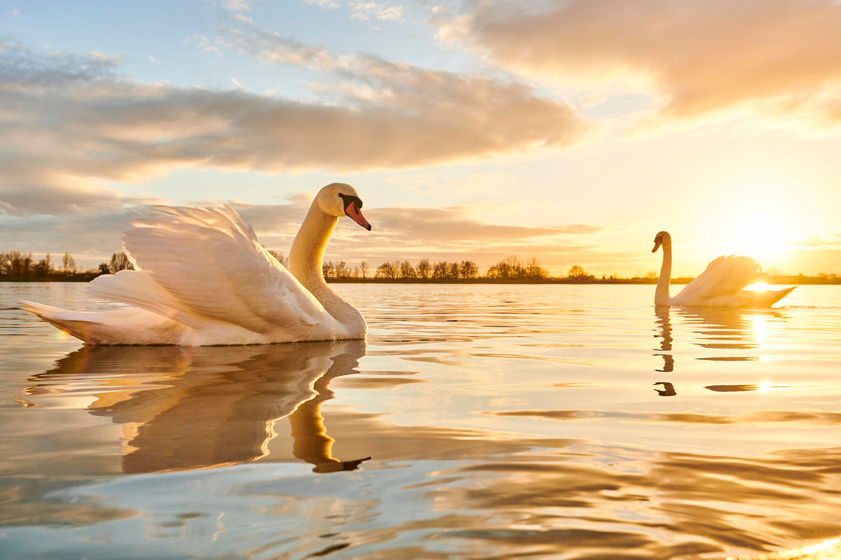 фото: David & Micha Sheldon/http://imagebroker.com/#/search//Global Look Press