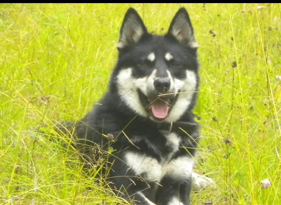 Любит природу