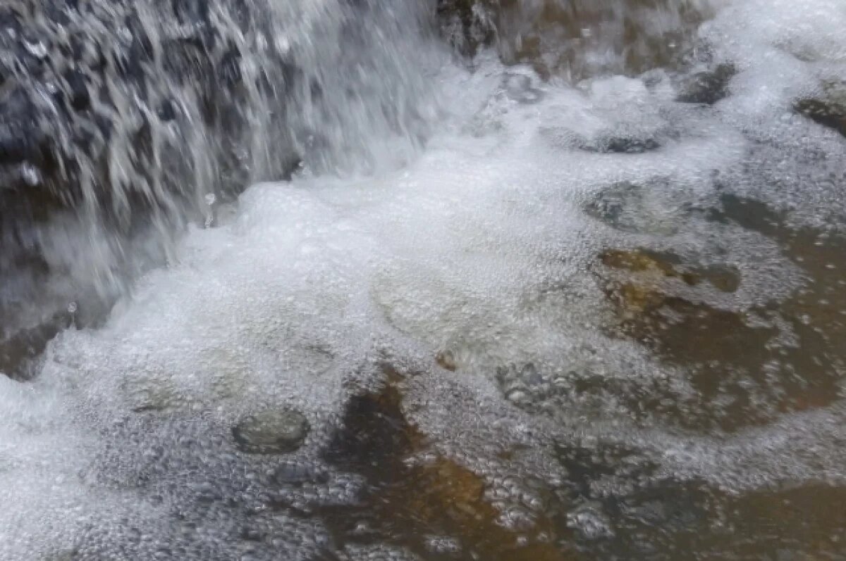    Проект ремонта плотины на воронежской реке обойдётся в 3,5 млн рублей