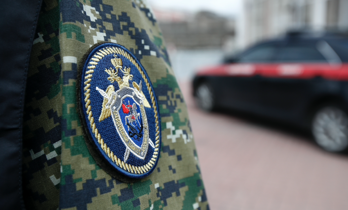 Фото: Артем Геодакян/ТАСС