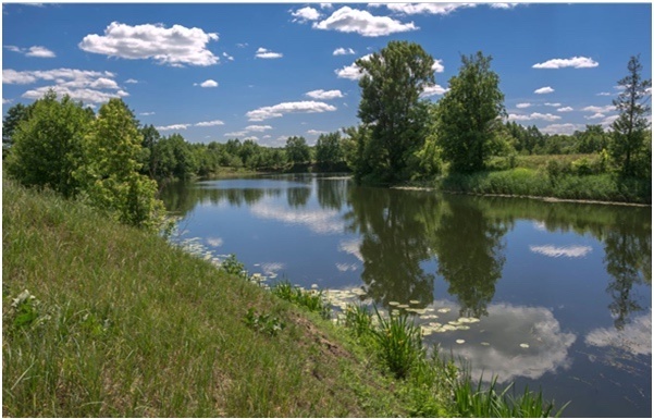 Фото: страница Александра Володько