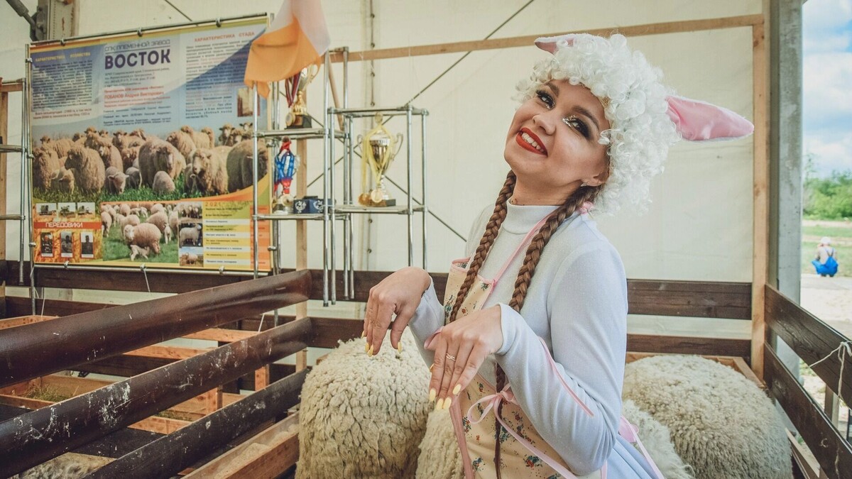     Источник: novostivolgograda.ru