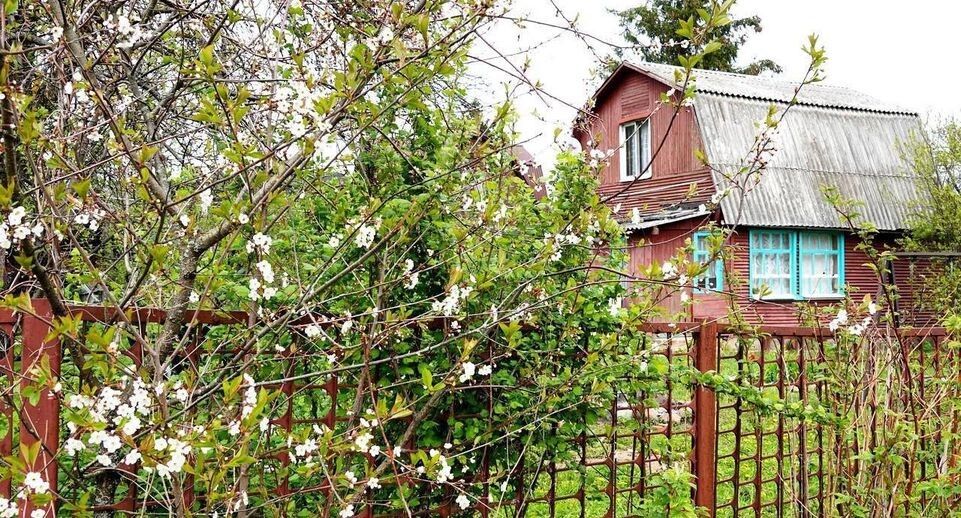    Минимущества