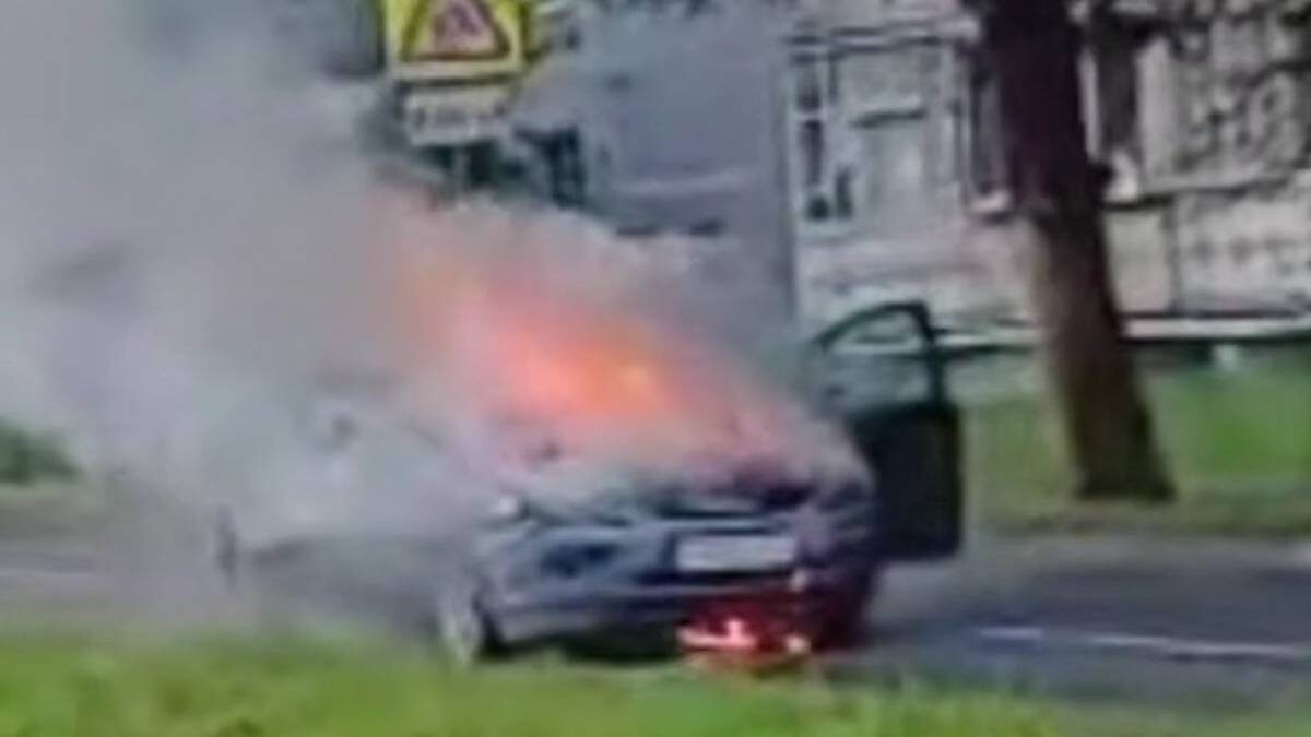    Фото: Скриншот с видео / Агентство чрезвычайных новостей / Telegram