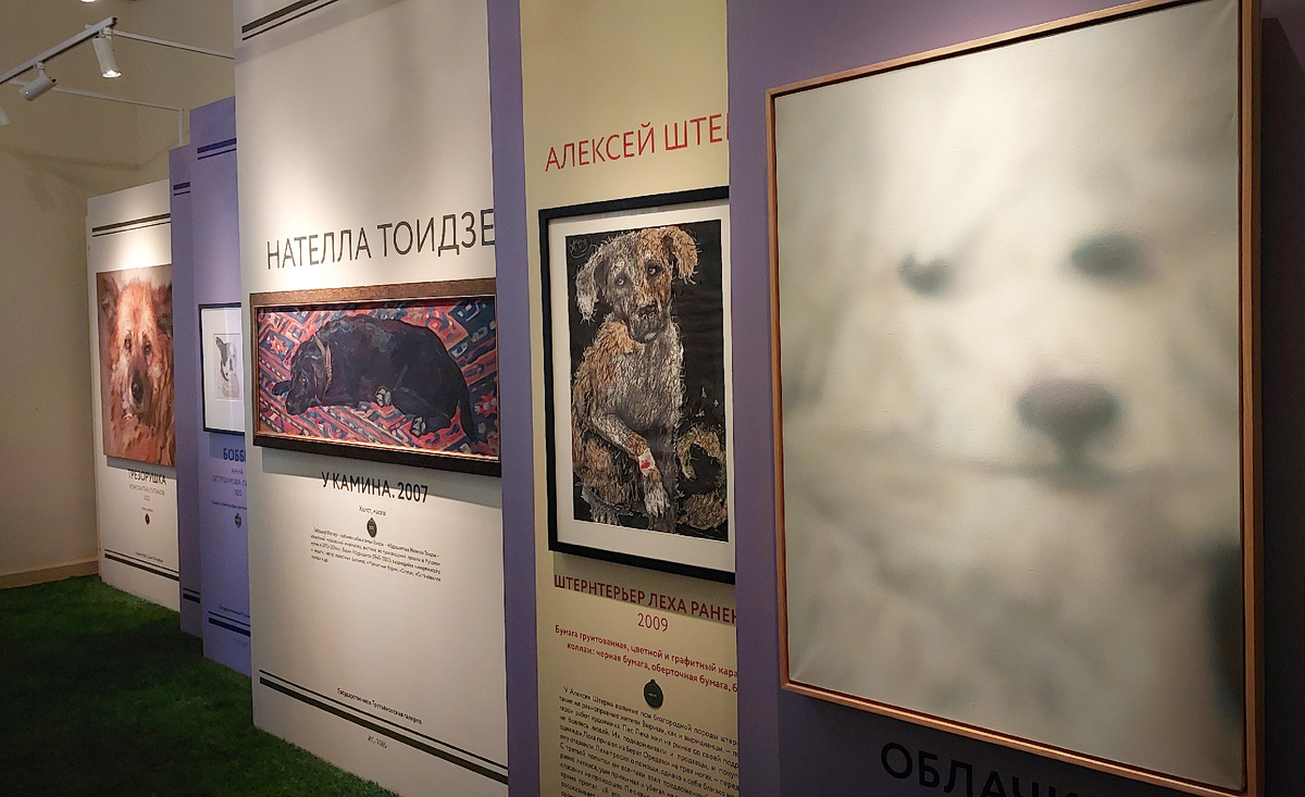 Такие разные, но такие замечательные