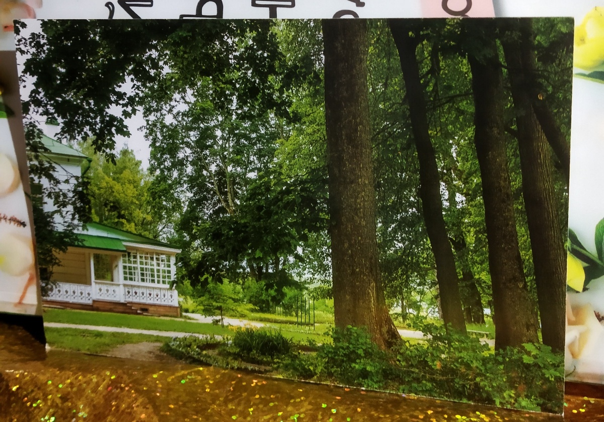 1. Ясная Поляна