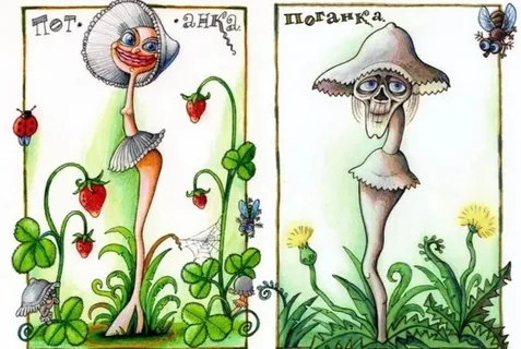 изображение из открытых источников