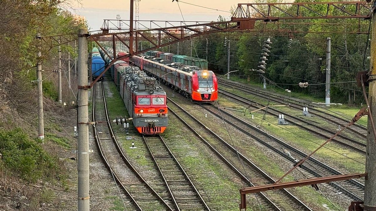    Фото: телеканал «Краснодар»