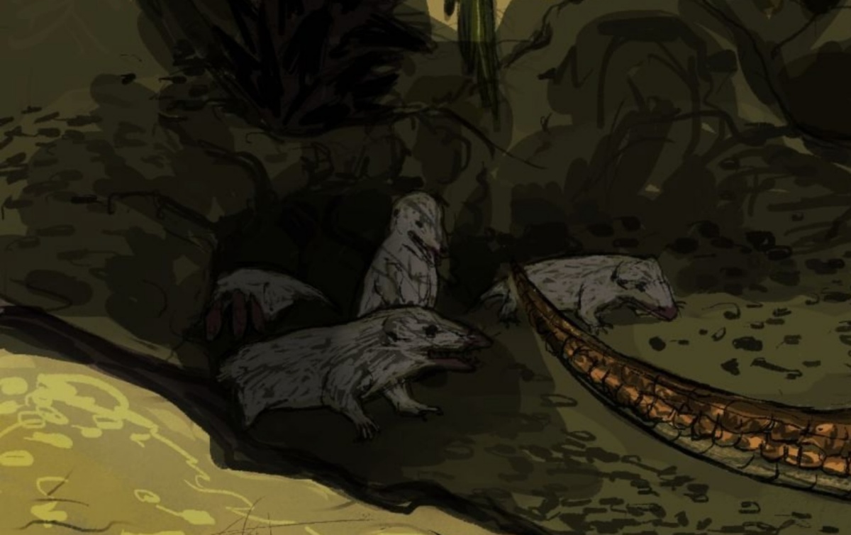 Полонодоны выглядывают из норы.