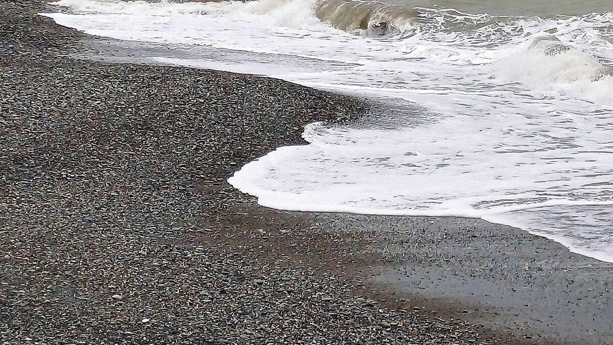     Автор: KubanPress Источник: kubanpress.ru