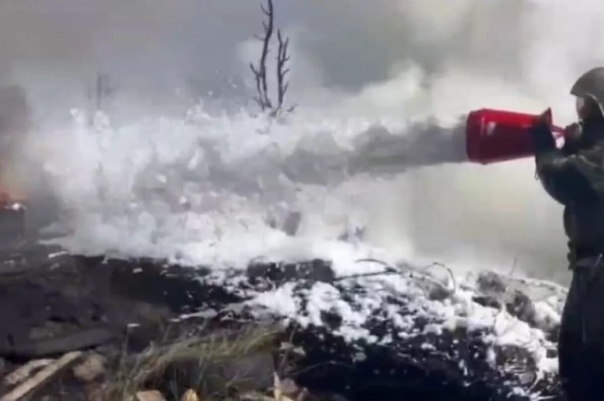    МЧС: в селе Чистенькое Крыма горит сухая растительность на площади 0,5 га