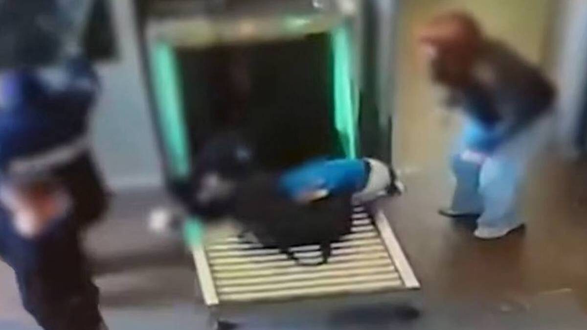    Фото: Скриншот видео / News.ru / Telegram