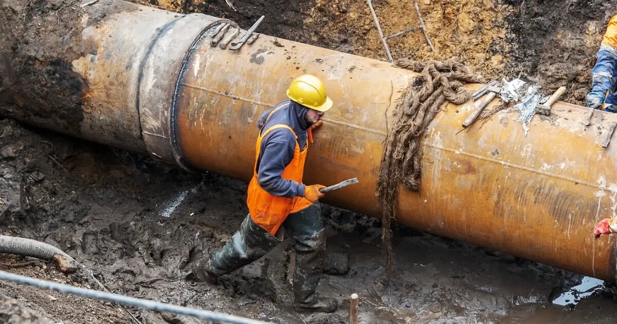 Фото: Олег Харсеев / Коммерсантъ