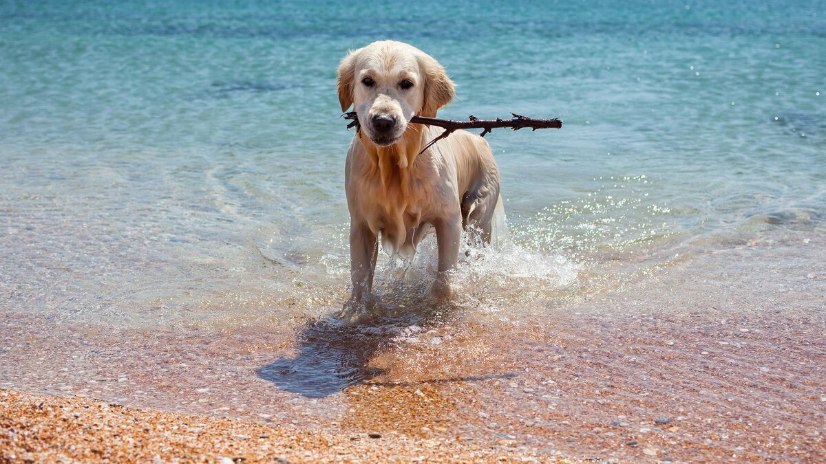    Фото: freepik.com/kamchatka