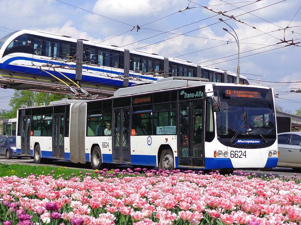 Источник: transphoto.org