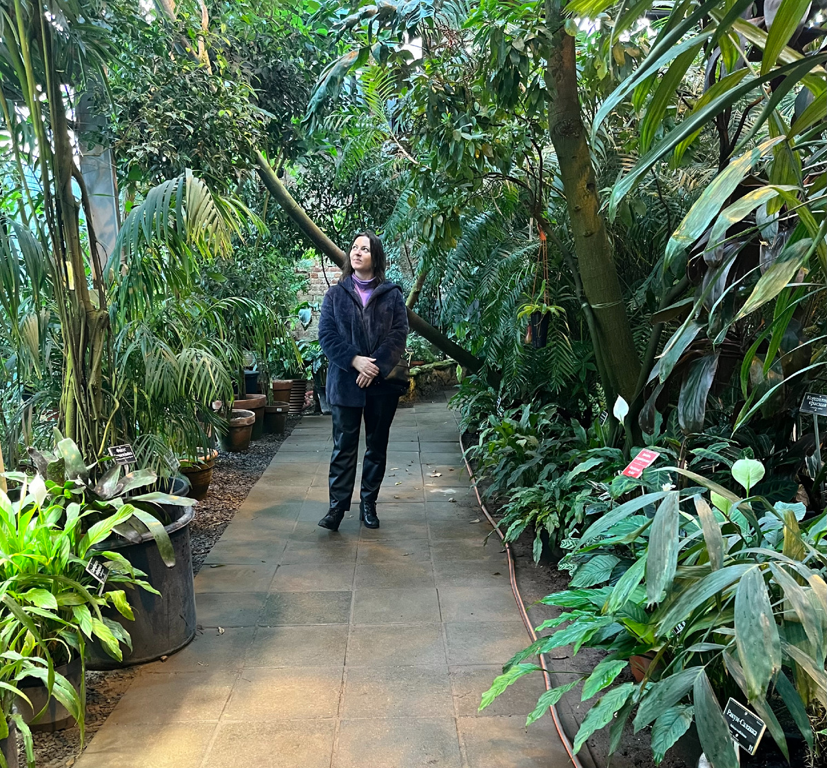 в Аптекарском огороде