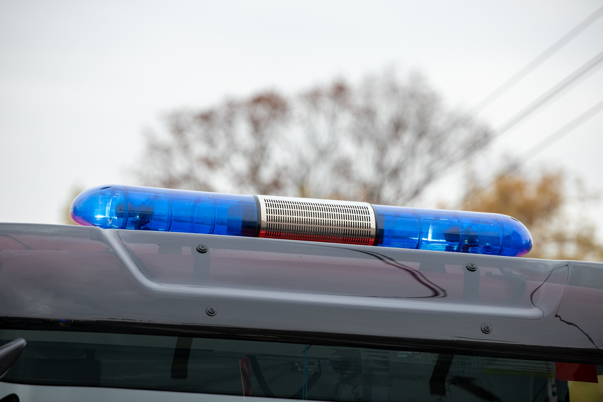 Фото: Тульская служба новостей