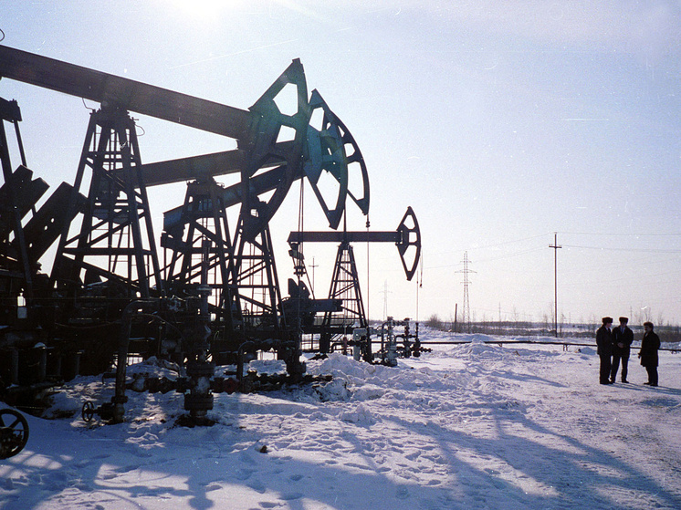 Фото: Геннадий Черкасов