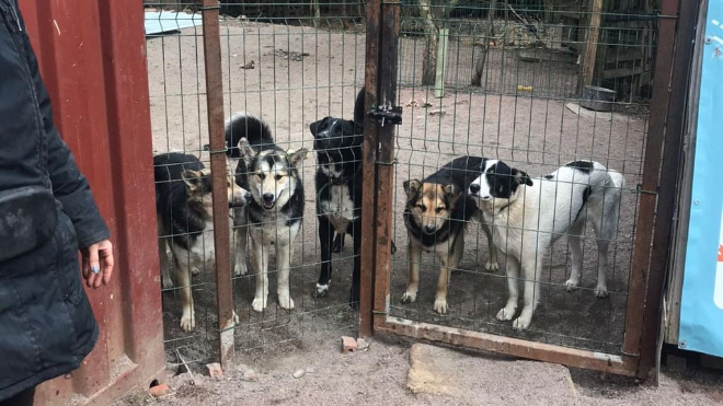 Фото: Пресс-служба ГУФСИН России по г. Санкт-Петербургу и Ленинградской области