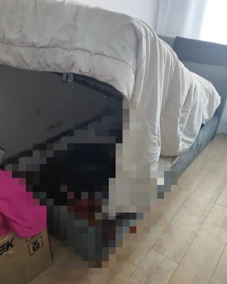    Фото: пресс-служба прокуратуры Петербурга.