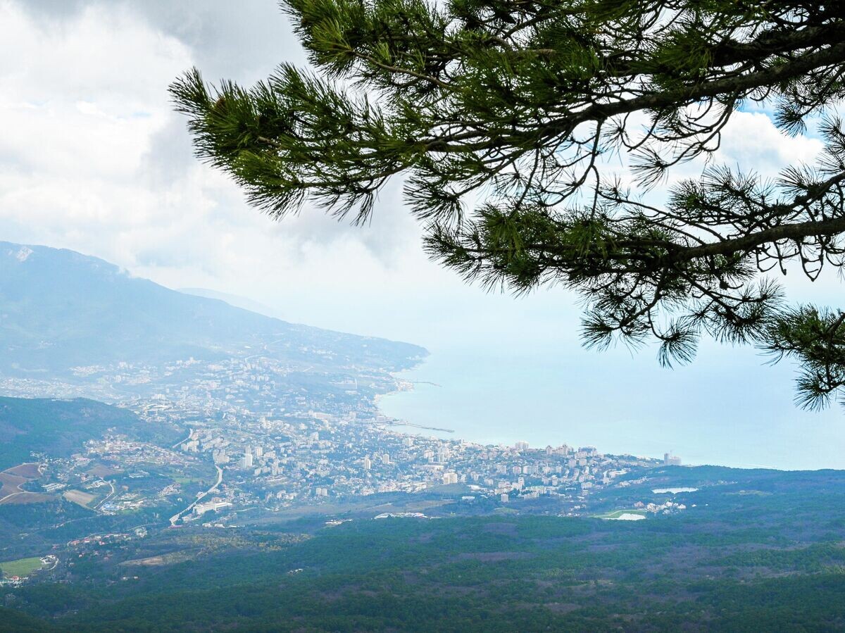    Вид на Ялту© РИА Новости / Рамиль Ситдиков