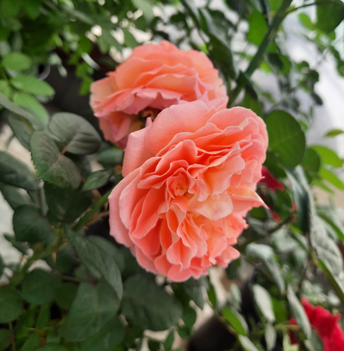 Все фотографии в стаье мои