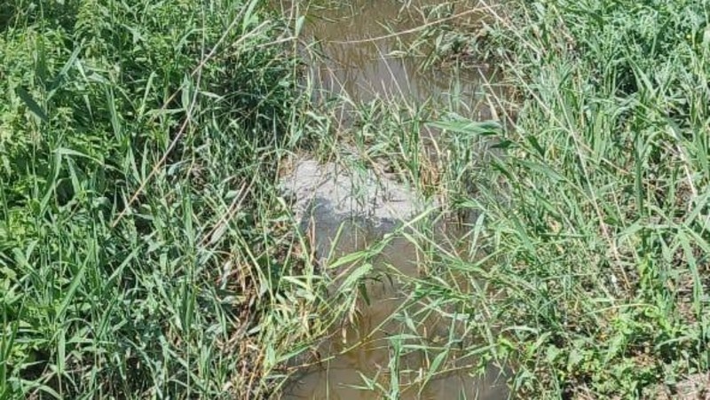      Фото: Минприроды Ставропольского края