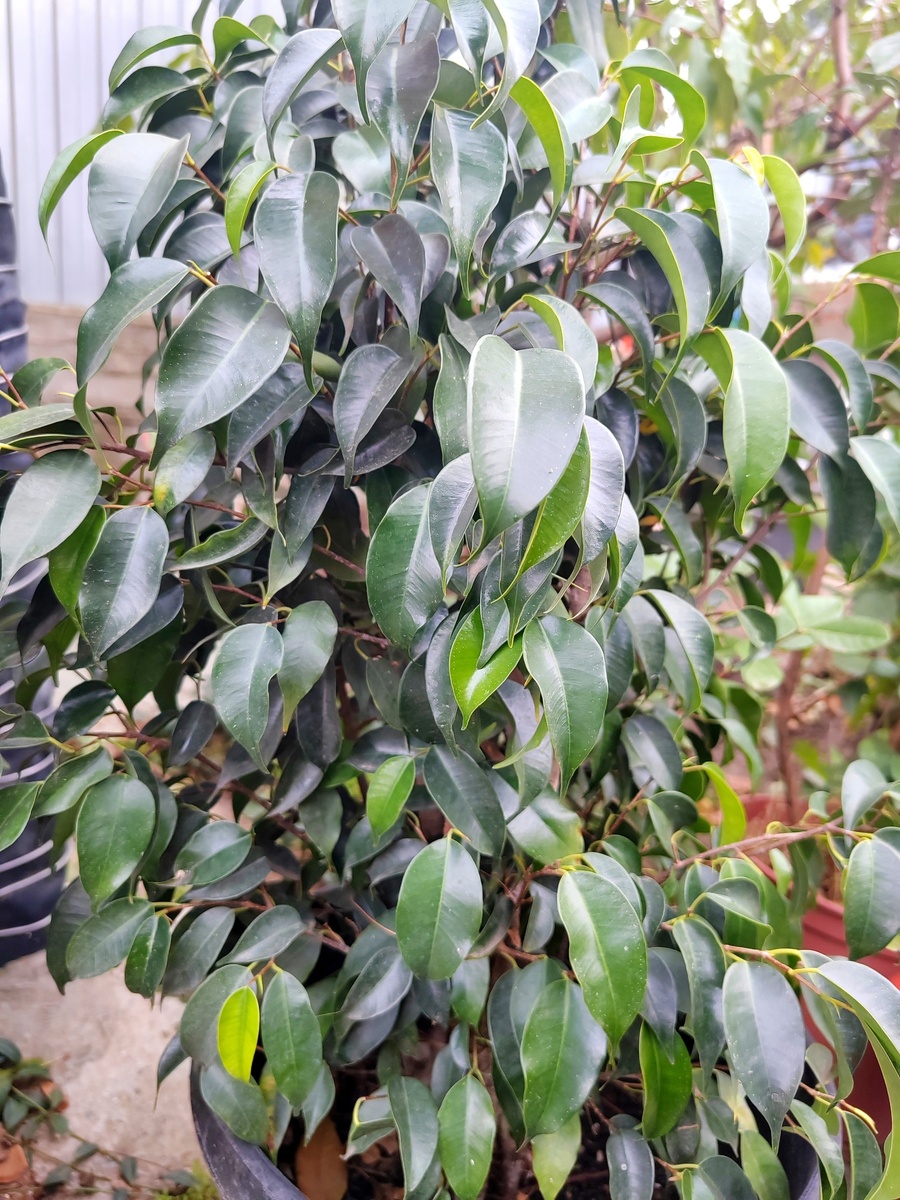 декабрь 2023г