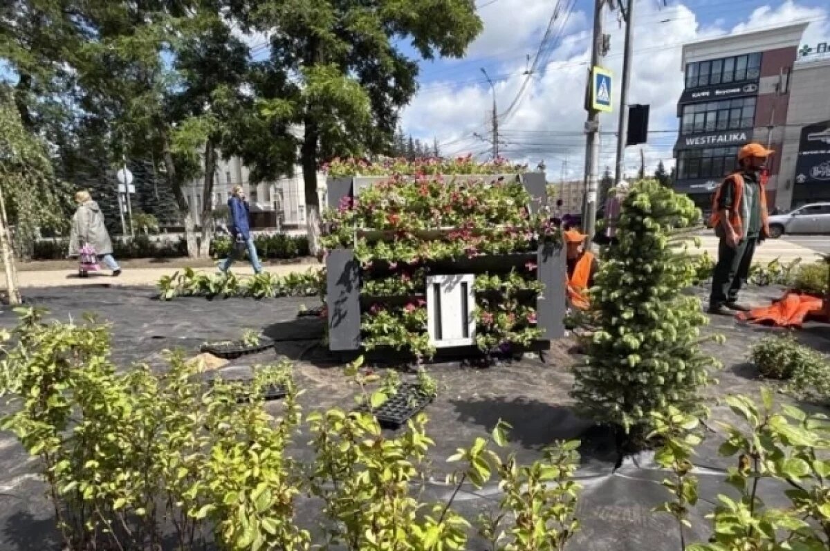    В Туле ведётся озеленение территории