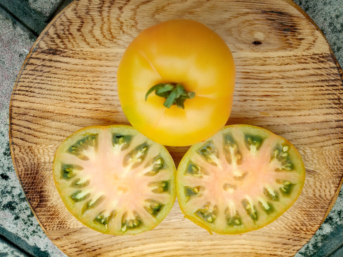 Фото автора от 24.07.2025г. Плод на разрезе светло-розовый, при окончательном созревании весь разрез делается томно ( не темно ) розовым.