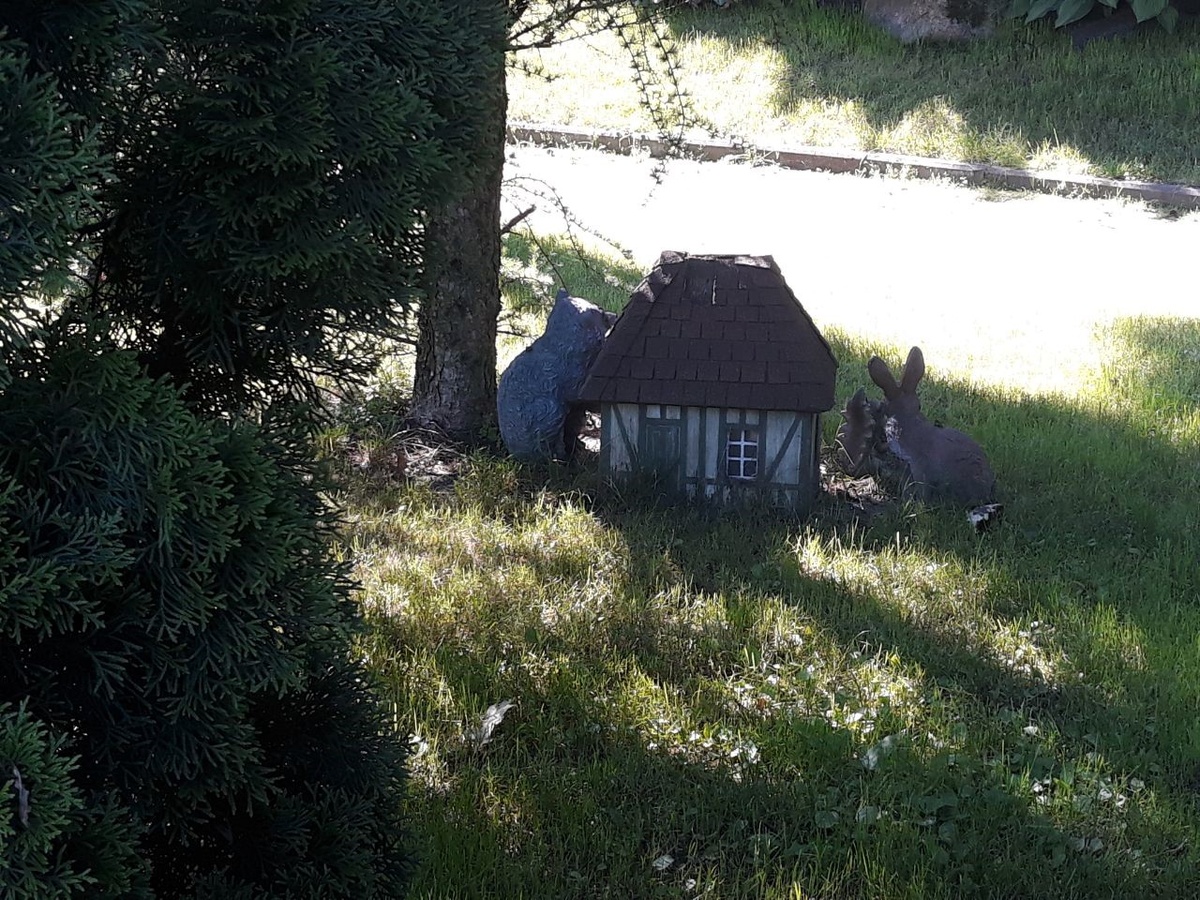 Все фотографии - автора