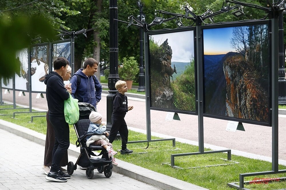    Фото: АиФ/ Игорь Харитонов