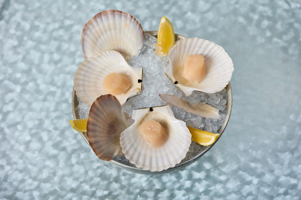 Фото: MORE seafood bar